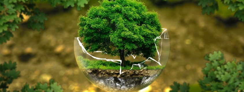 Protezione Ambientale- Legge 10